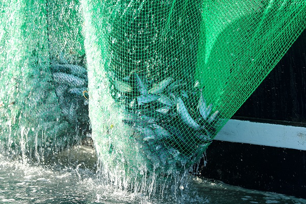 Foto - Ege denizini bekleyen tehlike