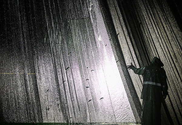 Foto - Ege denizini bekleyen tehlike