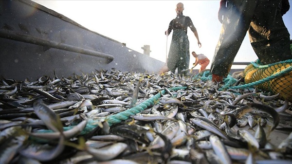 Foto - Ege denizini bekleyen tehlike