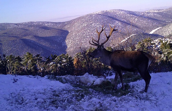 Foto - Ege'de Akdağ sevinci yaşanıyor