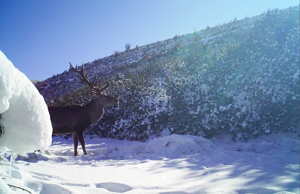 Foto - Ege'de Akdağ sevinci yaşanıyor