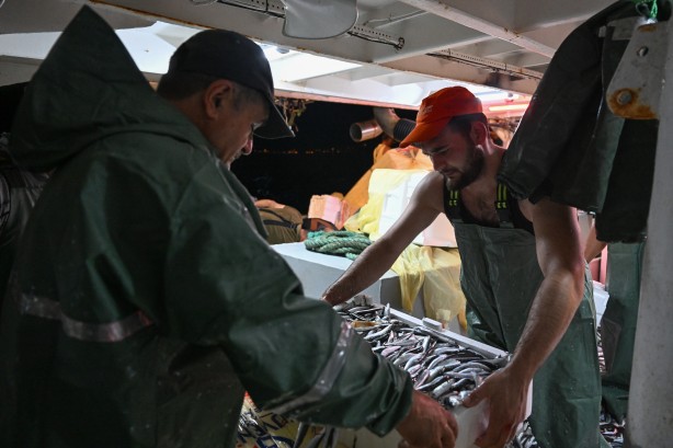 Foto - Egeli balıkçılar ilk avdan umutla döndü: 'Bereket versin' demesini bileceksin! İlk kez görüntülendi