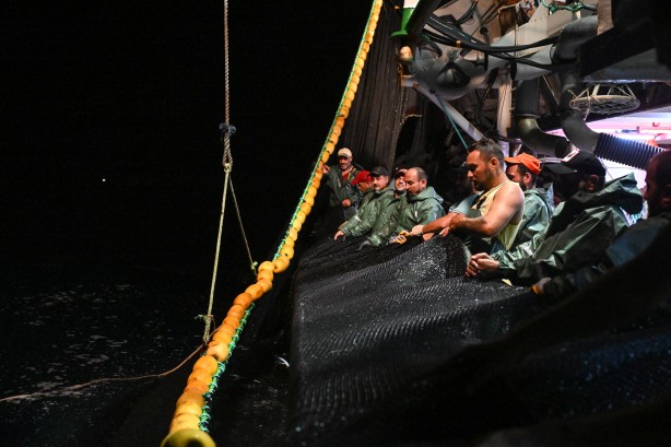 Foto - Egeli balıkçılar ilk avdan umutla döndü: 'Bereket versin' demesini bileceksin! İlk kez görüntülendi