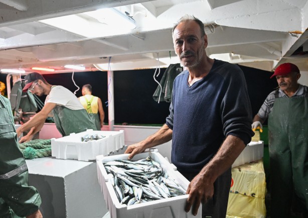 Foto - Egeli balıkçılar ilk avdan umutla döndü: 'Bereket versin' demesini bileceksin! İlk kez görüntülendi