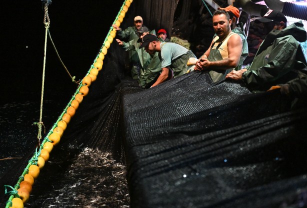 Foto - Egeli balıkçılar ilk avdan umutla döndü: 'Bereket versin' demesini bileceksin! İlk kez görüntülendi