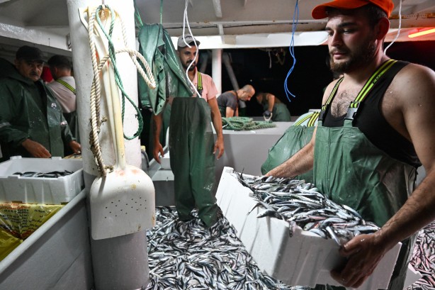Foto - Egeli balıkçılar ilk avdan umutla döndü: 'Bereket versin' demesini bileceksin! İlk kez görüntülendi