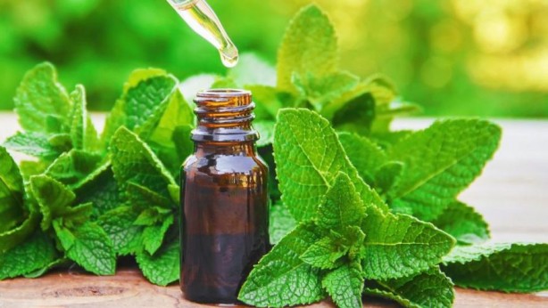 Foto - Eğer 1 haftayı geçerse… Saçlarında bu sorunu olanları ilgilendiren haber