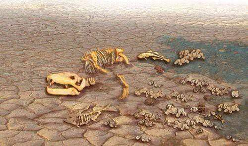 Foto - Eğer astronotlar özel kıyafet giymezlerse...