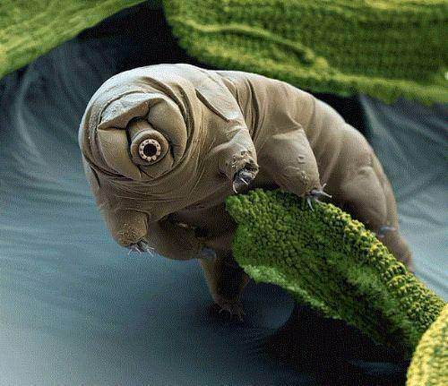 Foto - Eğer astronotlar özel kıyafet giymezlerse...