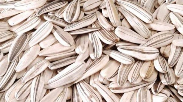 Foto - Eğer bir avuç tüketirseniz...