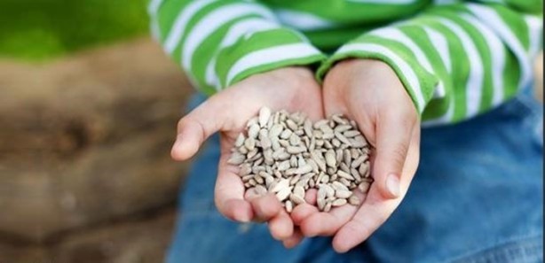 Foto - Eğer bir avuç tüketirseniz...