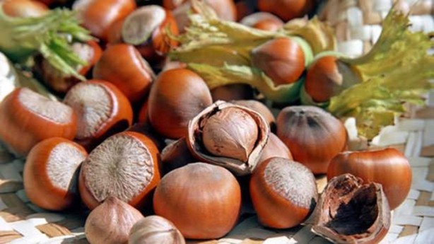 Foto - Eğer bir avuç tüketirseniz...