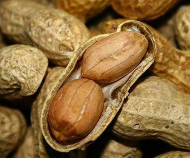 Foto - Eğer bir avuç tüketirseniz...