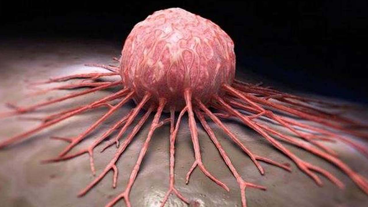 Foto - Yulafın bilinmeyen zararı ortaya çıktı! Meğer zehre dönüşüyormuş: Kanserojen etkisi kanıtlandı