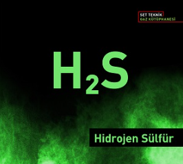 Foto - Eğer bu yapılırsa! Karadeniz’de büyük kazanç