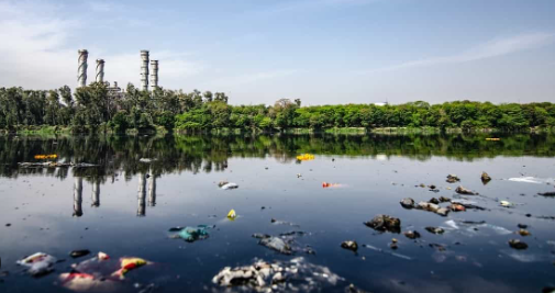 Foto - Eğer bu yapılırsa! Karadeniz’de büyük kazanç