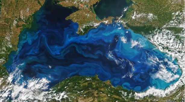 Foto - Eğer bu yapılırsa! Karadeniz’de büyük kazanç