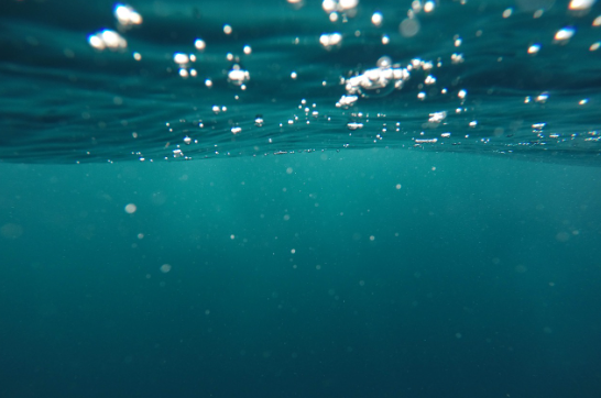 Foto - Eğer bu yapılırsa! Karadeniz’de büyük kazanç