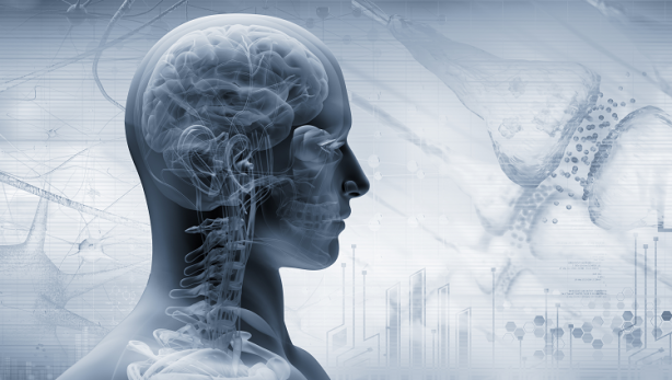 Foto - Eğer doğruysa büyük ses getirecek! İnsan vücudunda yepyeni bulgu