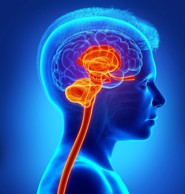 Eğer doğruysa büyük ses getirecek! İnsan vücudunda yepyeni bulgu