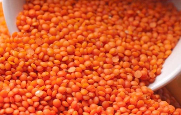 Foto - Eğer kızartma yaparken kapak kapatıyorsanız...