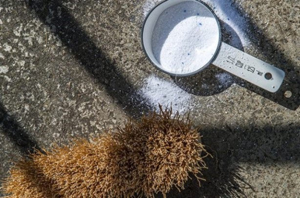 Foto - Eğer tarçını halıya dökerseniz...