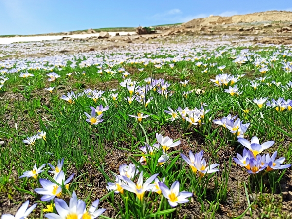 Foto - Eğrigöl’de doğa harikası görüntüler