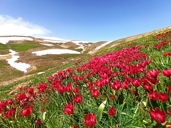 Foto - Eğrigöl’de doğa harikası görüntüler