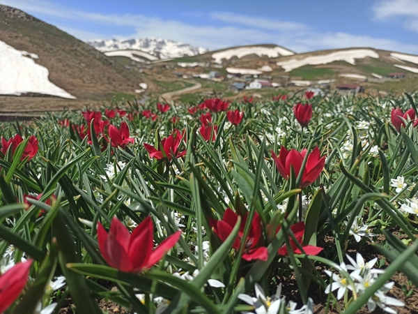 Eğrigöl’de doğa harikası görüntüler