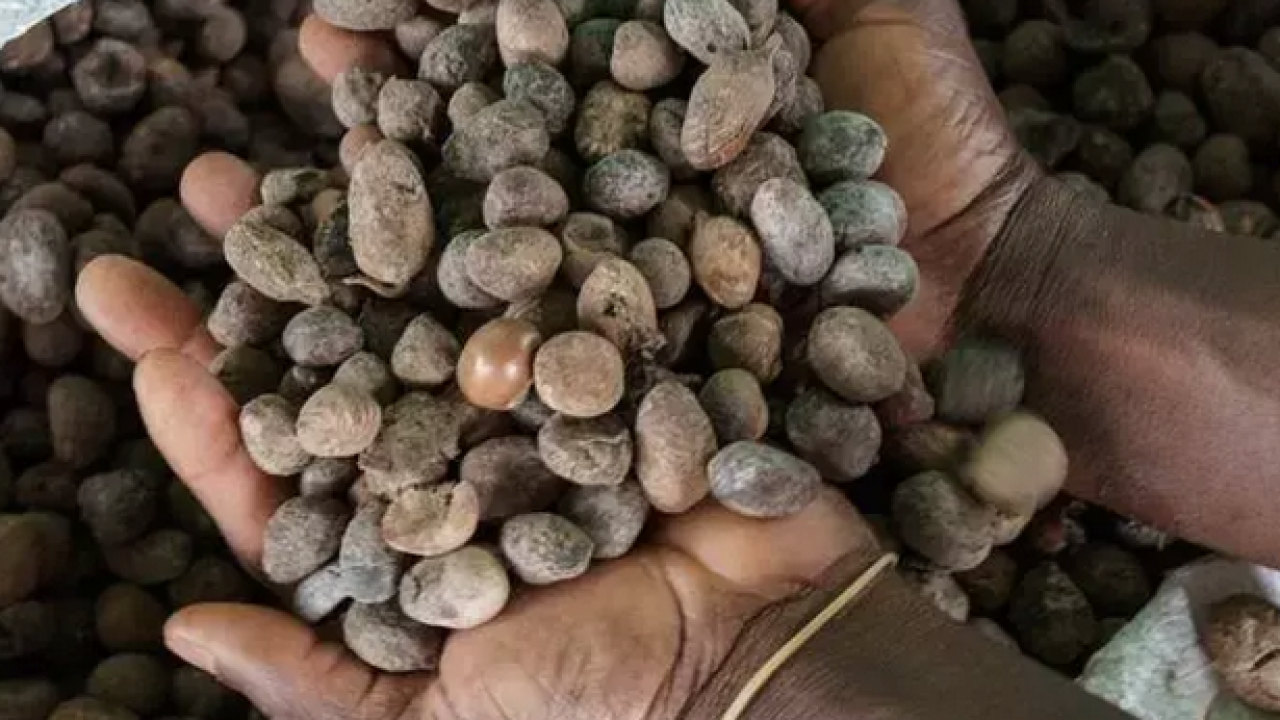Foto - Egzama, sedef ve kaşıntının kökünü kazıyor! O mucize: Tek gecede 10 yaş birden gençleştiriyor, cildi kolajene doyuruyor!