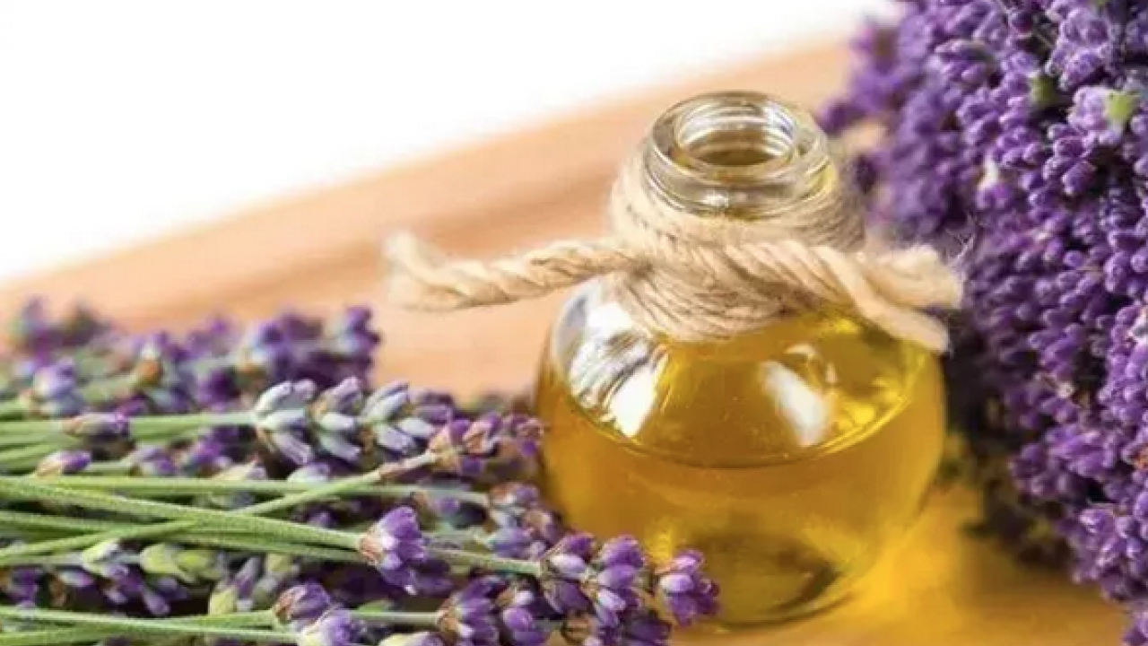 Foto - Egzama, sedef ve mantarın kökünü kazıyor! Tam bir şifa deposu: Siz denemediniz mi?