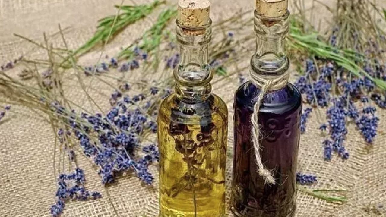 Foto - Egzama, sedef ve mantarın kökünü kazıyor! Tam bir şifa deposu: Siz denemediniz mi?