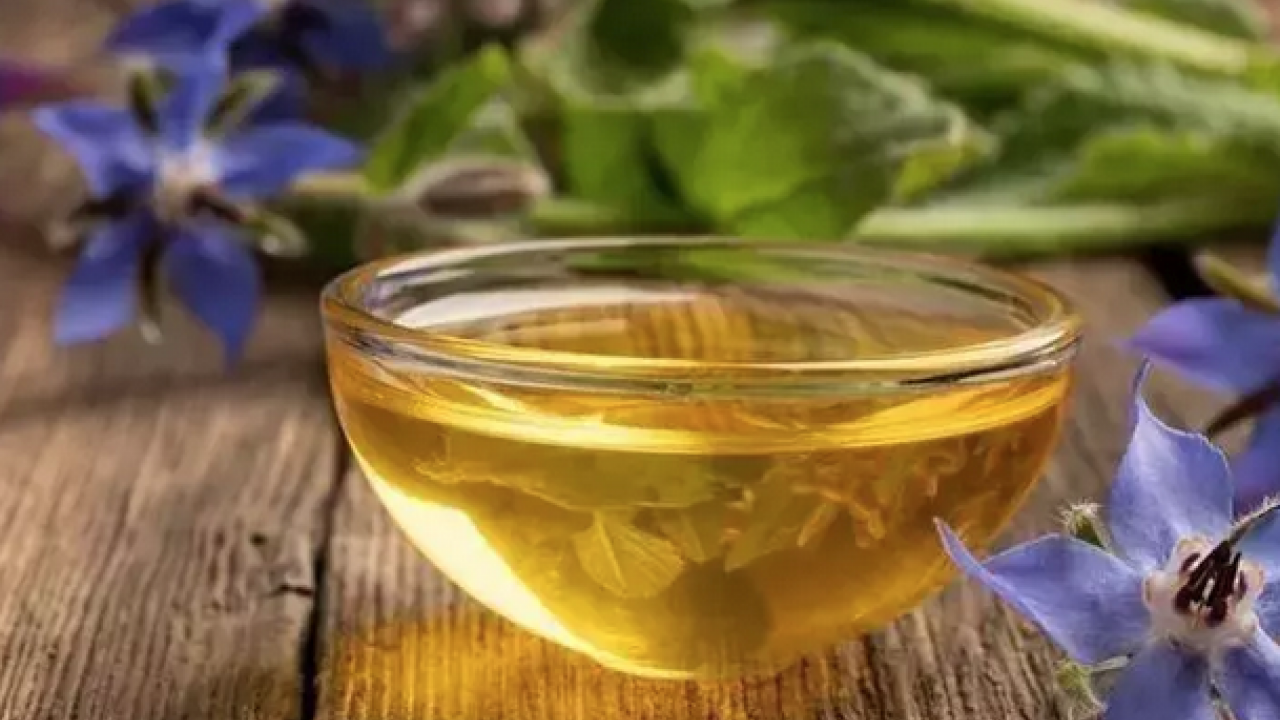 Foto - Egzama, sedef ve mantarın kökünü kazıyor! Tam bir şifa deposu: Siz denemediniz mi?