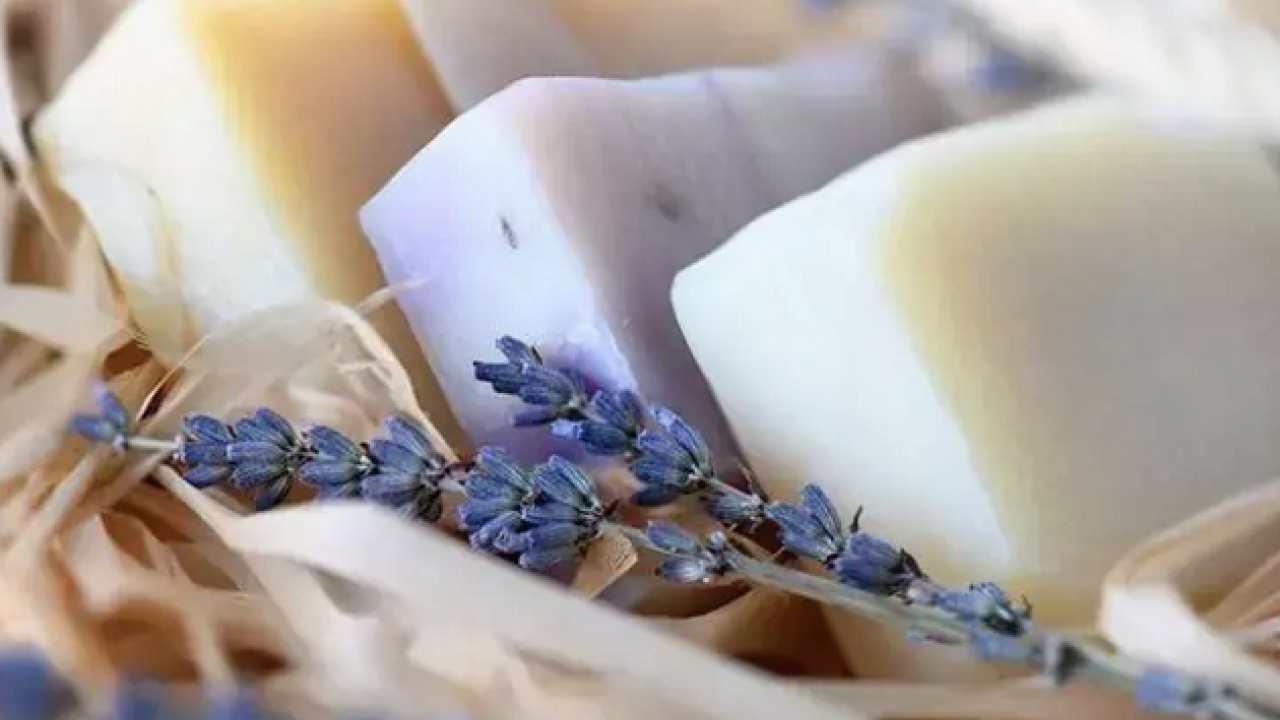 Foto - Egzama, sedef ve mantarın kökünü kazıyor! Tam bir şifa deposu: Siz denemediniz mi?