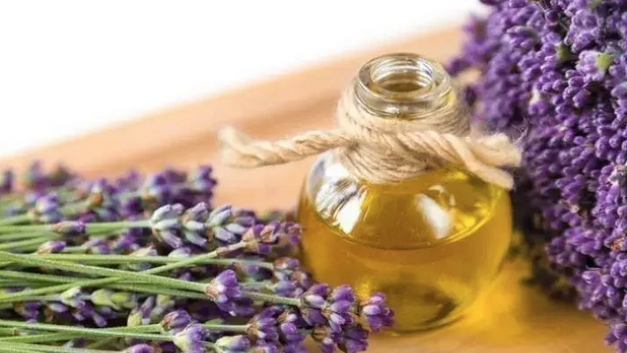 Foto - Egzama, sedef ve mantarın kökünü kazıyor! Tam bir şifa deposu: Siz denemediniz mi?