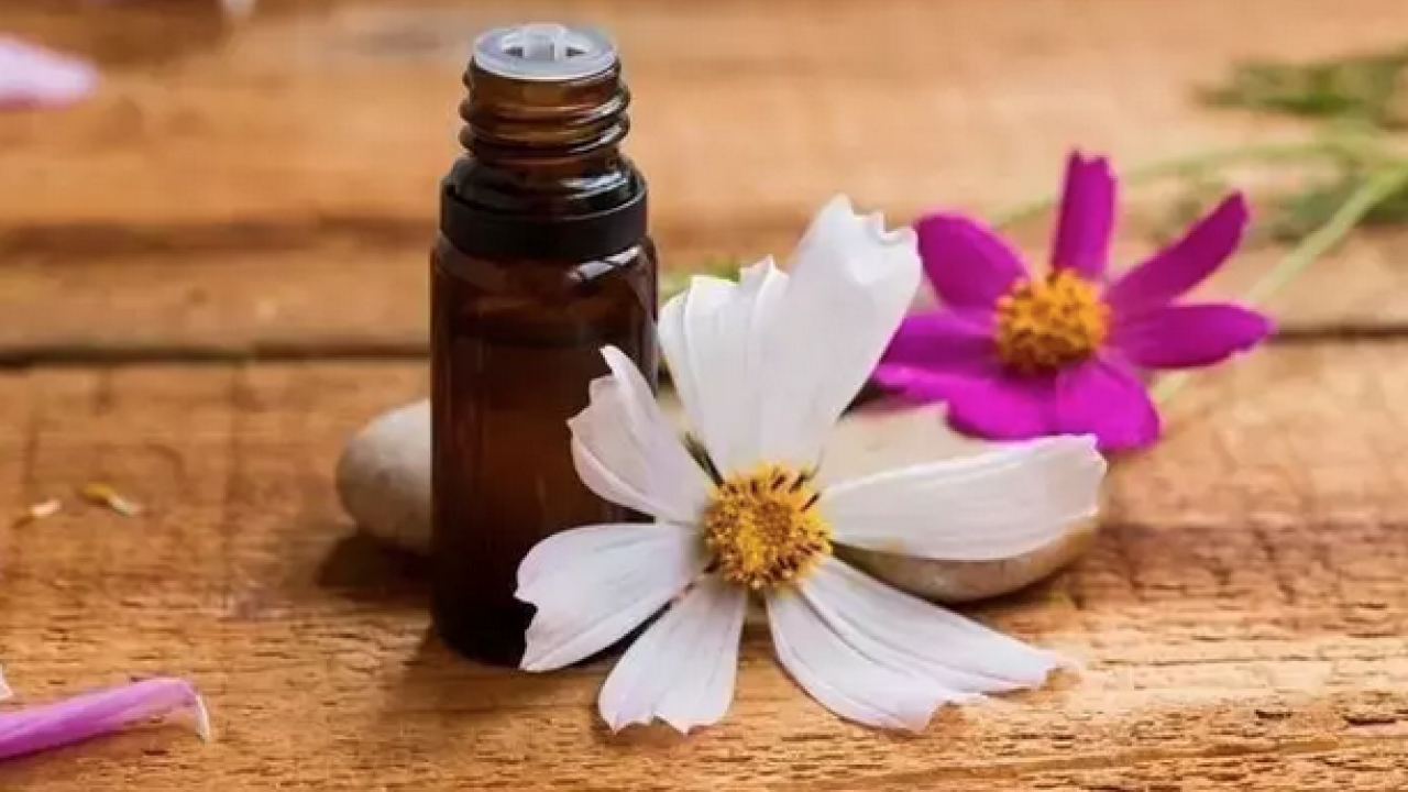 Foto - Egzama, sedef ve mantarın kökünü kazıyor! Tam bir şifa deposu: Siz denemediniz mi?