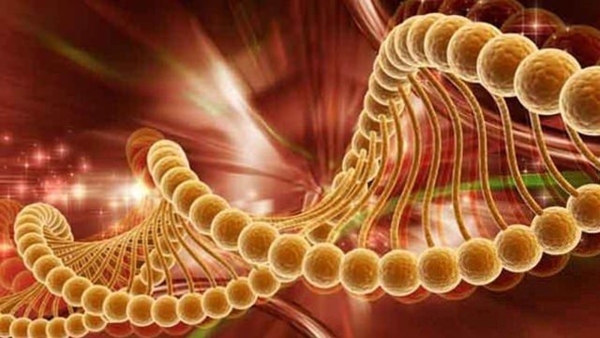 Foto - Egzersizle yorgunluğa 'dur' deyin!