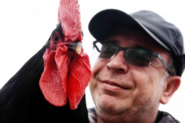 Foto - Ejderha tavuğu yetiştirmeyi başardılar!