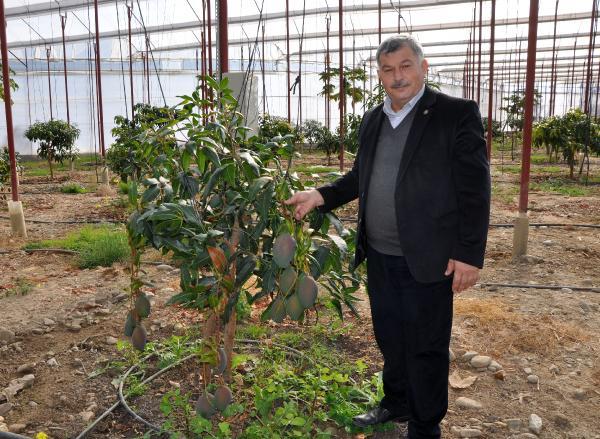 Foto - Ekeni zengin ediyor! Bahçede 40, markette 80 liradan satılıyor