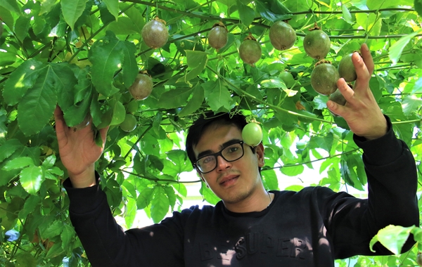 Ekeni resmen zengin ediyor! Bir dönüm araziden 200 bin TL kazanıyor