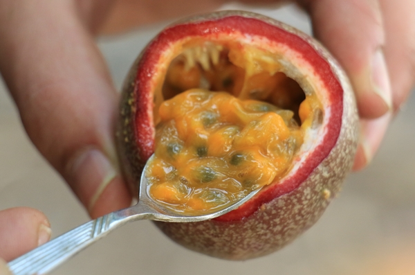 Foto - Ekeni resmen zengin ediyor! Bir dönüm araziden 200 bin TL kazanıyor