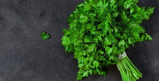 Foto - Ekim ayında bunları yerseniz...