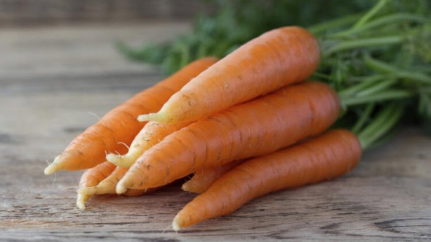 Foto - Ekim ayında bunları yerseniz...