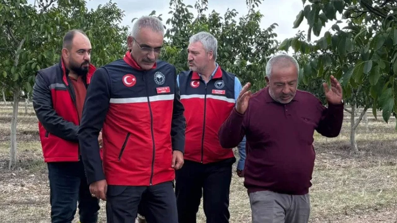 Foto - Ekim ayında tezgahlarda yerini aldı: Halk arasında 'ölümsüzlük meyvesi' lakabıyla satılıyor! Olağanüstü bir katkı sağlıyor