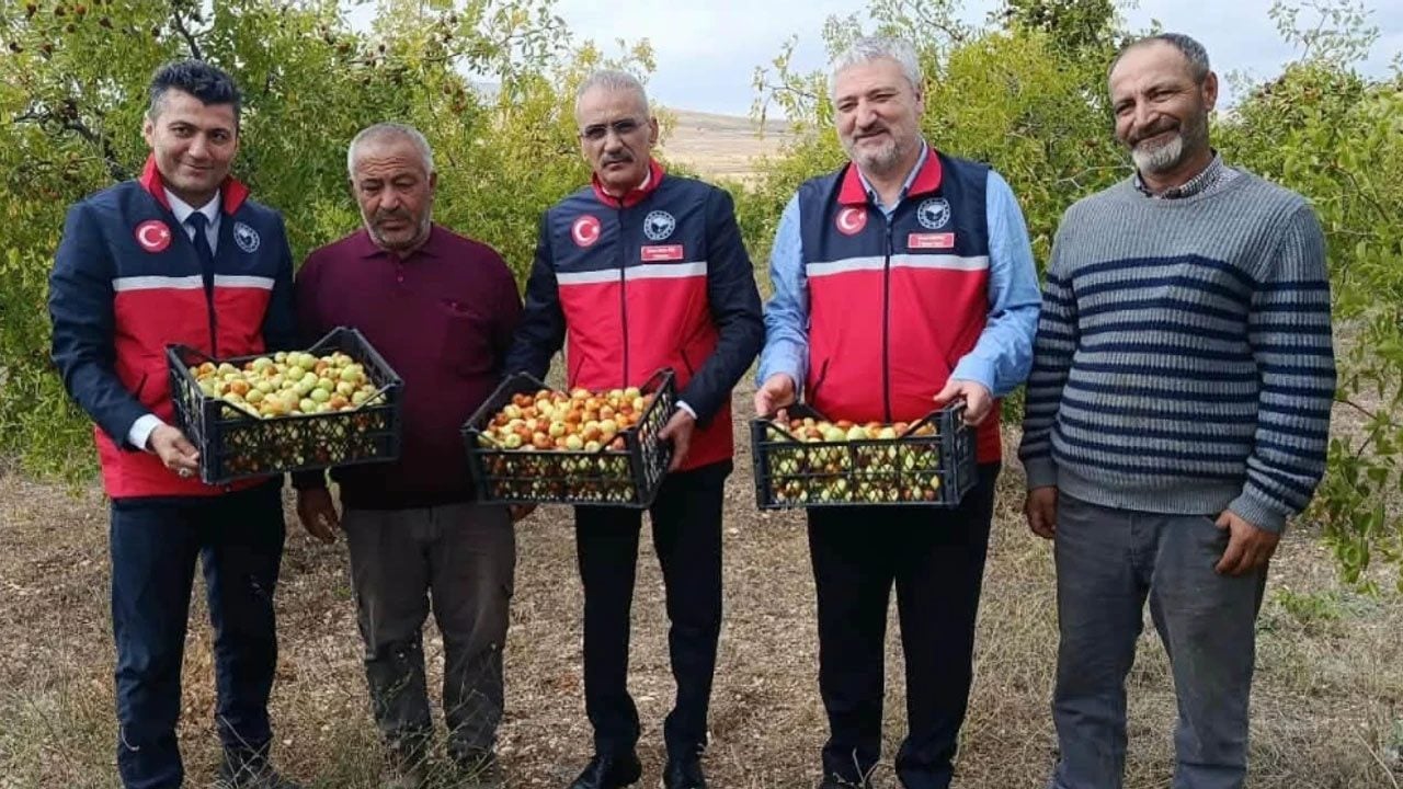 Foto - Ekim ayında tezgahlarda yerini aldı: Halk arasında 'ölümsüzlük meyvesi' lakabıyla satılıyor! Olağanüstü bir katkı sağlıyor