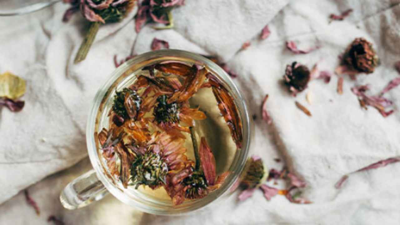 Foto - Ekinezya çayı çok fazla bilinmese de bu çay boğaz tahrişine limonlu çok ama çok iyi olur! 