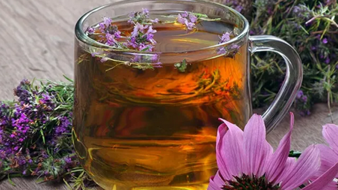 Foto - Ekinezya çayı çok fazla bilinmese de bu çay boğaz tahrişine limonlu çok ama çok iyi olur! 