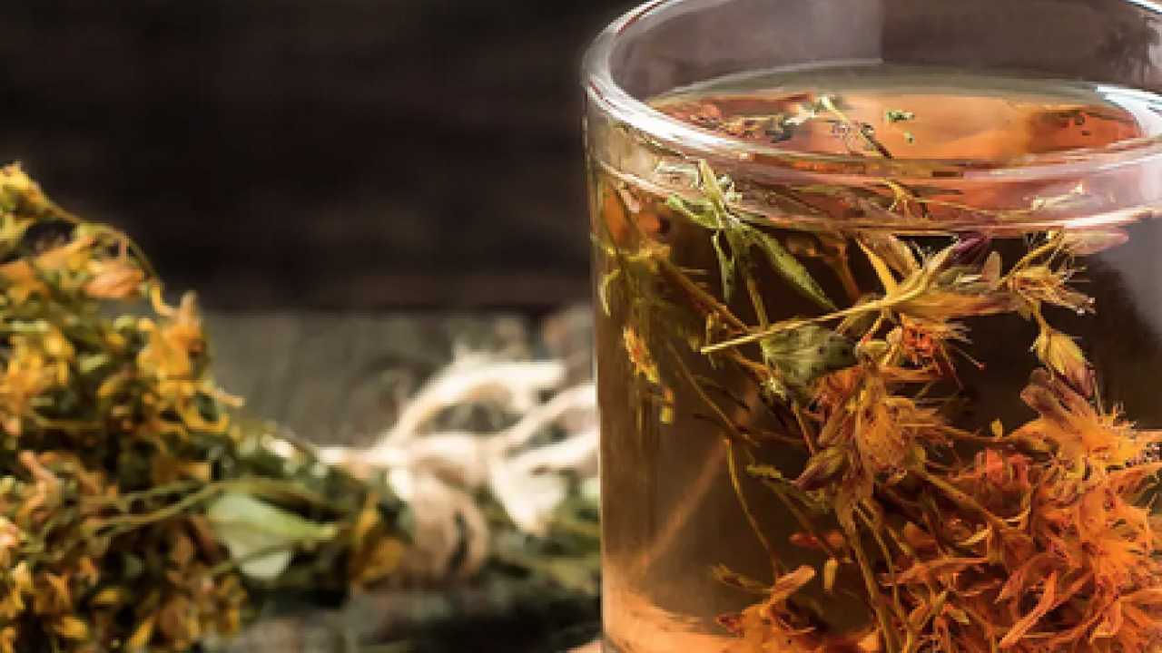 Foto - Ekinezya çayı çok fazla bilinmese de bu çay boğaz tahrişine limonlu çok ama çok iyi olur! 