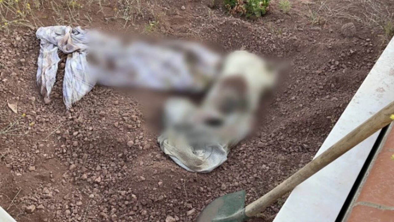 Foto - Ekipler alarma geçti! Mezarlıkta tüyler ürperten olay