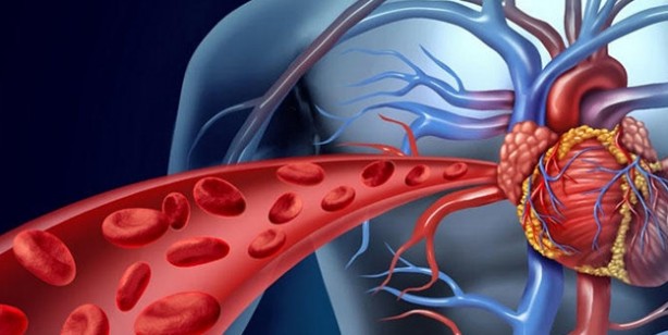 Foto - Eklem ağrılarından kurtaran en doğal tarif: Limon kabuğu ile bir kaç defa daha yapıldı, sonucu şoke etti! 